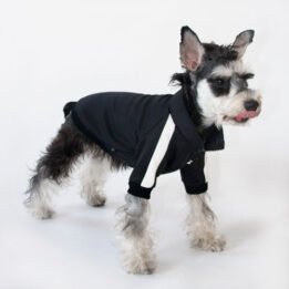 Sport Pet Clothes Custom Fashion Dog BomberJacket Blank Dog Clothes www.gmtpetproducts.com
