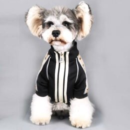 2020 Dog Coat Spring Autumn Pet Clothing Small Designer Dog Clothes www.gmtpetproducts.com
