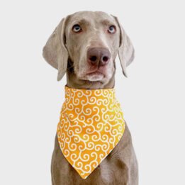 2020 New Custom Summer Triangle Bandana Personalized Pet Accessories Cat Dog Triangle Scarf www.gmtpetproducts.com