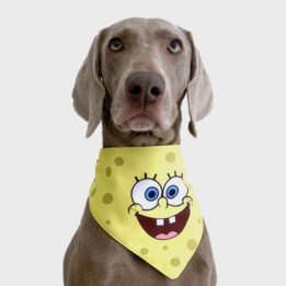 New Product Yellow Cartoon Cute Duck triangle scarf Pet Saliva Towel www.gmtpetproducts.com