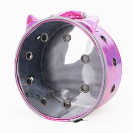 Pet Travel Bag for Cat Cage Carrier Breathable Transparent Window Box Capsule Dog Travel Backpack www.gmtpetproducts.com