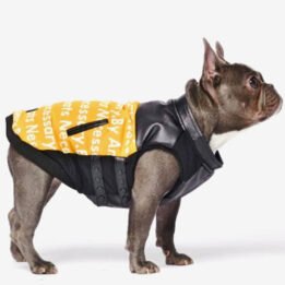 Pet Dog Clothes Vest Padded Dog Jacket Cotton Clothing for Winter www.gmtpetproducts.com
