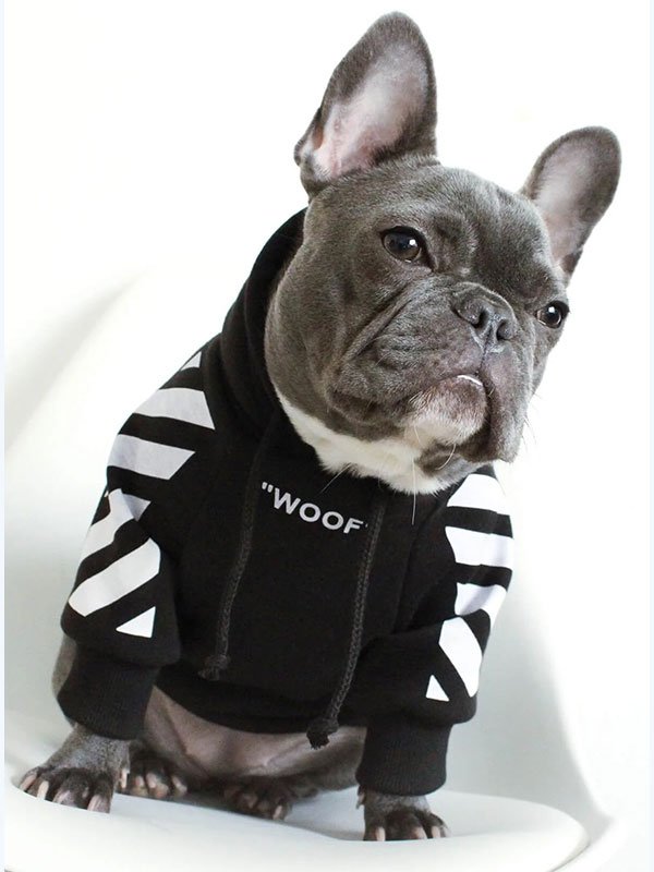Роскошная одежда для домашних животных, теплая толстовка с капюшоном, модная зимняя дизайнерская одежда для собак на заказ, 06-1396 www.gmtpetproducts.com