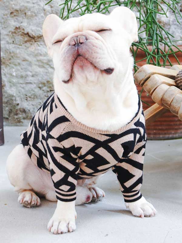 Оптовый поставщик одежды для домашних животных Роскошный вязаный свитер для собак Теплая зимняя одежда для собак 06-1392 www.gmtpetproducts.com