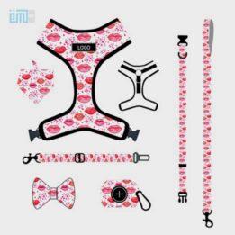 Pet harness factory new dog leash vest-style printed dog harness set small and medium-sized dog leash 109-0016 www.gmtpetproducts.com