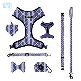 Pet harness factory new dog leash vest-style printed dog harness set small and medium-sized dog leash 109-0032 www.gmtpetproducts.com