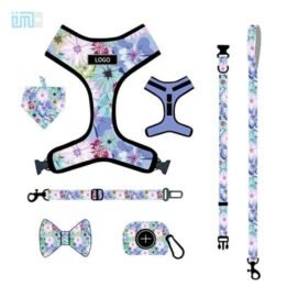 Pet harness factory new dog leash vest-style printed dog harness set small and medium-sized dog leash 109-0033 www.gmtpetproducts.com