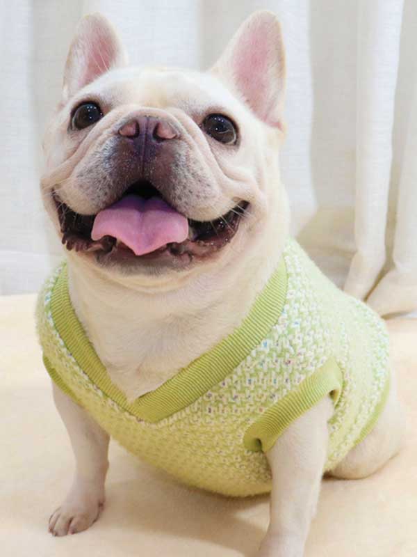 GMTPET Thickened autumn and winter fat dog short body bulldog pug dog lady plush rich rich French fighting clothes v-neck vest vest 107-222012 www.gmtpetproducts.com
