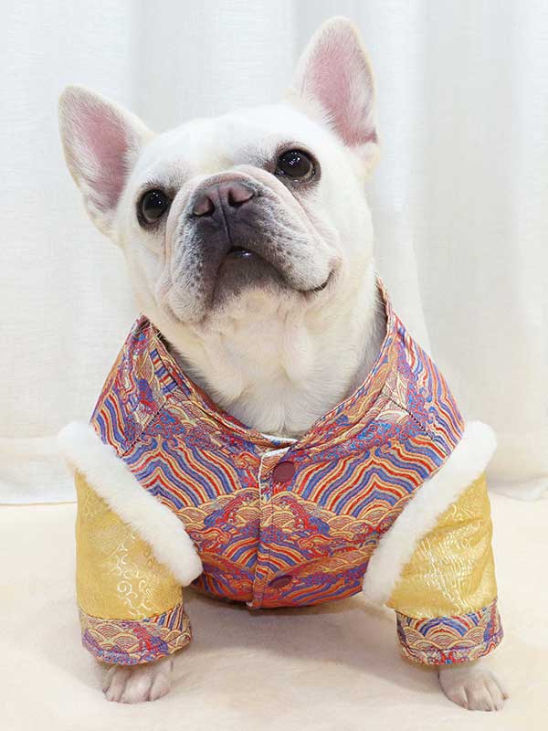 GMTPET French fighting Chinese New Year’s clothing New Year’s clothing Tang suit Chinese style fat dog bulldog dog clothes thickened rabbit fur jacket cotton coat 107-222013 www.gmtpetproducts.com