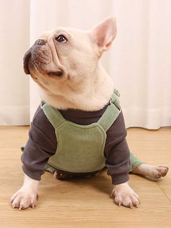 GMTPET French fighting clothes high elastic comfortable solid color plus velvet thick bottoming shirt T-shirt bulldog dog clothes 107-222016 www.gmtpetproducts.com