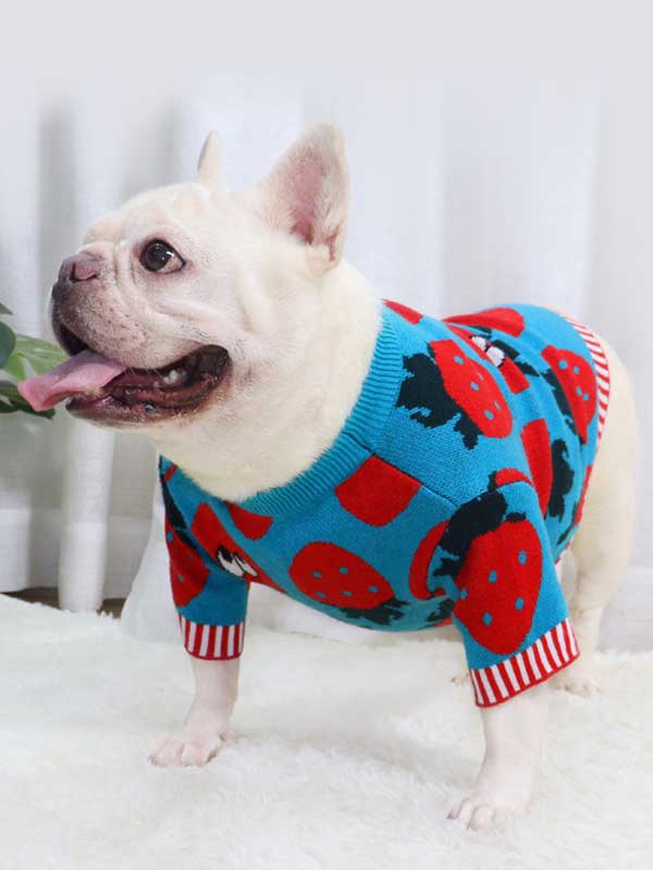 New autumn and winter dog clothes bulldog sweater strawberry cartoon short body fat dog method fighting autumn sweater 107-222041 www.gmtpetproducts.com