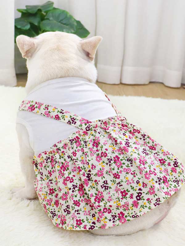 Ropa para perros y mascotas Camisa de fondo Camiseta Ropa de algodón Vestido 107-222043 www.gmtpetproducts.com