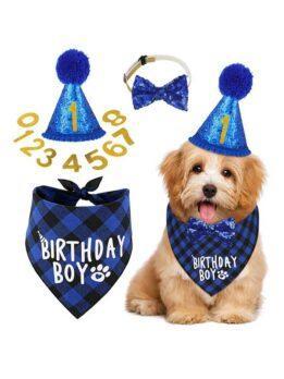 Pet party decoration set dog birthday scarf hat bow tie dog birthday decoration supplies 118-37011 www.gmtpetproducts.com