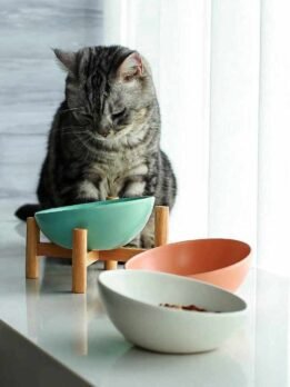 Tigelas de comida para gatos com boca inclinada de cerâmica alta e estrutura de madeira por atacado 123-12006 www.gmtpetproducts.com