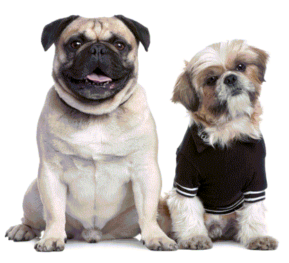 Amazon conduct off-site drainage