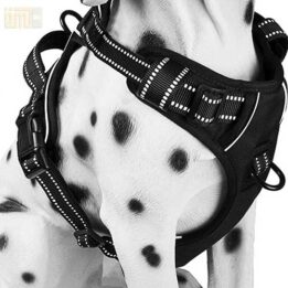 Pet Factory wholesale Amazon Ebay Wish hot large mesh dog harness 109-0001