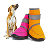 1626952603-pet-shoe-100