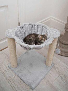 Factory Wholesale Cat Climbing Frame Cat Nest Sisal Cat Trees