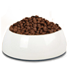 Pet-dog-cat-food