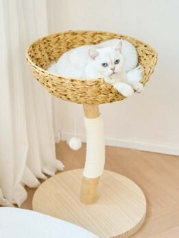 OEM natural trunk cat scratching post sisal wool cat tree 105-44010 Pet Products Factory, OEM Manufacturer, Supplier, Agent www.gmtpetproducts.com OEM natural trunk cat scratching post sisal wool cat tree 105-44010